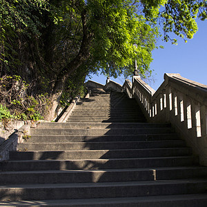 在公园的楼梯上运输花园植物木头假期天堂小路景观蓝色森林图片