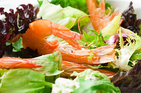虾沙拉水平食物美食健康白色起动机焦点大虾选择性海鲜图片
