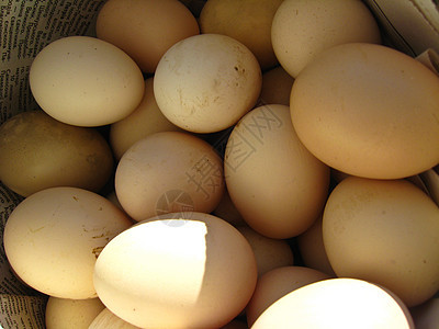 很多鸡蛋白色生活美味阴影火鸡灰色背景图片