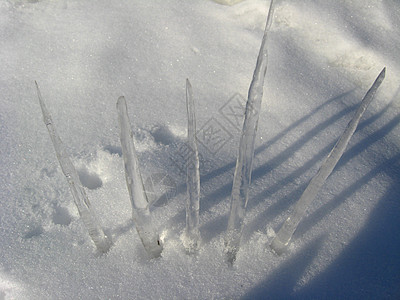 雪上冰柱图片