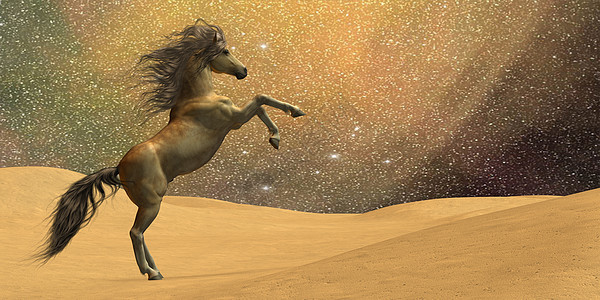 野马沙漠家畜插图小马生物星星马属奔跑者充电器骏马图片