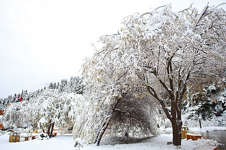 在广隆山谷下雪图片