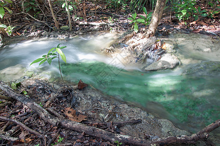 泰河沿岸Krabi的翡翠池图片