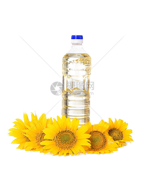 装满花朵的向日葵油瓶晴天农场饮食美食种子软木食物生活水壶养分图片