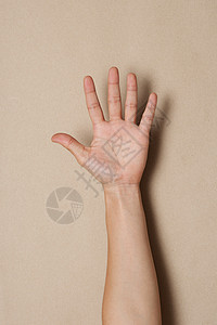 手符号手指手臂帮助数字解决方案手势皮肤戒指危险棕榈图片