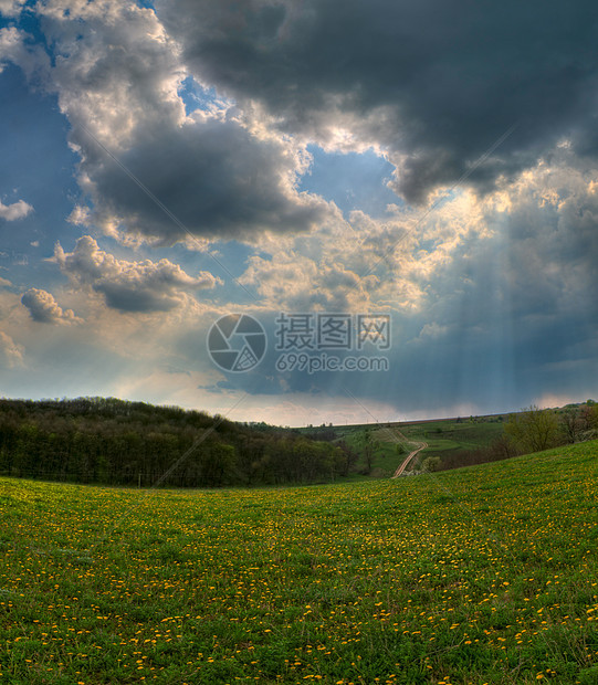 光线阳光太阳树木天体动机暴风雨农村森林日落绿地图片