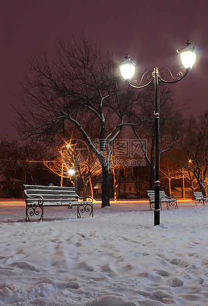 冬季夜间公园街道路灯长椅灯笼建筑城市风景树木图片