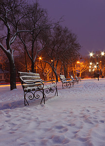 公园中的长椅建筑城市路灯树木风景大街街道下雪图片