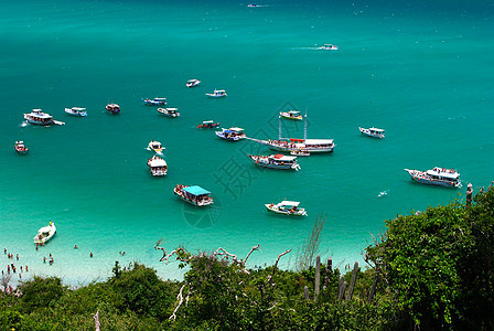 巴西里约热内卢 的晶状绿绿海上的船只热带植被天堂航行全景海洋阳光透明度海浪天空图片