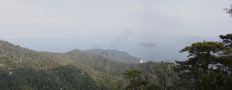 日本世托海全景场景树木海洋叶子植物海岸森林风景图片