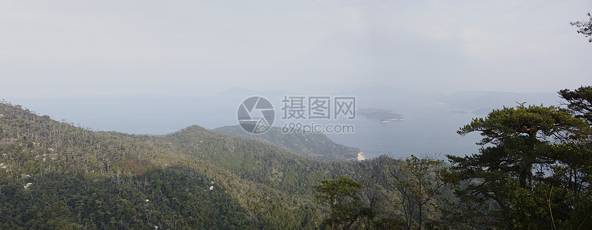 日本世托海全景场景树木海洋叶子植物海岸森林风景图片