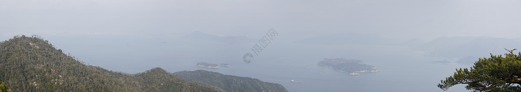 日本世托海全景植物风景海洋海岸场景叶子森林树木图片