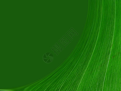 绿色抽象模式编织格子棉布帆布条纹正方形白色纺织品墙纸插图图片