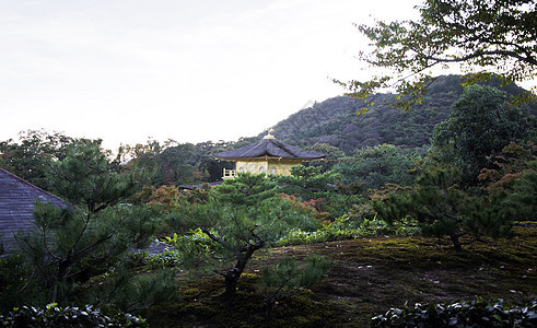 京谷寺 京都寺 日本图片