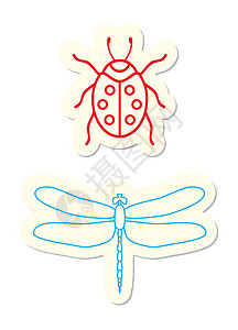 图标动物白色生活插图野生动物甲虫瓢虫漏洞翅膀红色图片