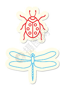 图标动物白色生活插图野生动物甲虫瓢虫漏洞翅膀红色图片