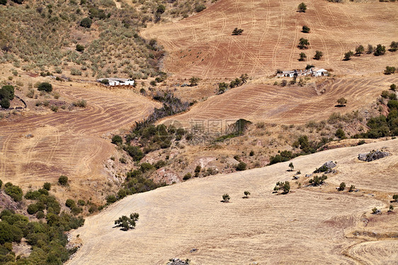 安达卢西亚的犁田农村植物群建筑别墅培育传统草地农舍旅行农田图片