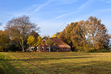 秋季典型的荷兰农场图片