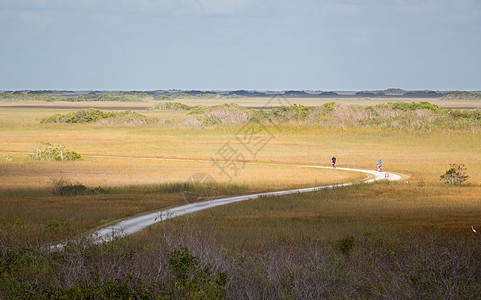 两名骑自行车的骑手骑着铁轨 在埃弗格拉德斯(Everglades)图片