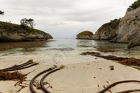 Point Lobos州自然保护区海景外景悬崖崎岖海洋岩石保护区栖息地生态地质图片