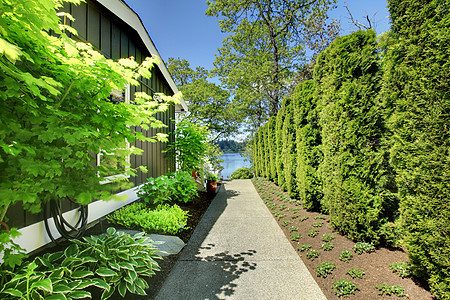 房子的侧面有绿色景观和行走道图片