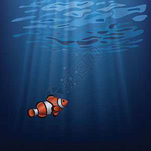 小丑鱼热带眼睛盐水蓝色两栖小丑阳光海洋潜水动物图片