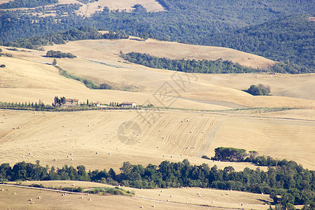 对意大利夏季托斯卡尼典型风景的看法国家植被金子收成场地农场日落森林全景场景图片