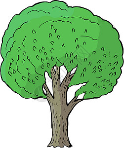 弹珠叶子树林绿色植物群木头树干卡通片植物植被黑质图片