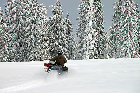 男人在雪地上乐趣闲暇森林松树摩托木头场地行动运输车辆图片