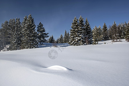 美丽的冬季风景天空冻结阴影天气阳光晴天小路场景水晶场地图片