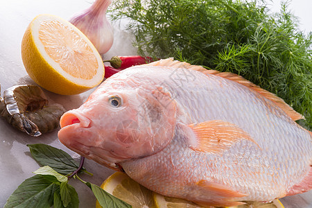 尼罗河蒂拉皮亚鱼工具食物饮食美食贝类钓鱼海鲜厨房营养盘子图片