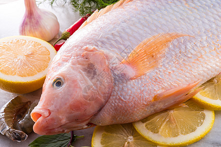 尼罗河蒂拉皮亚鱼宏观螃蟹饮食食物眼睛美食钢巴钓鱼海鲜营养图片