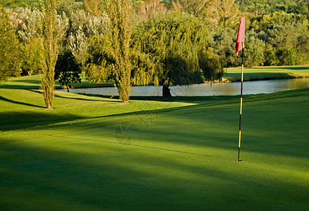 高尔夫绿色 旗帜和水危害图片