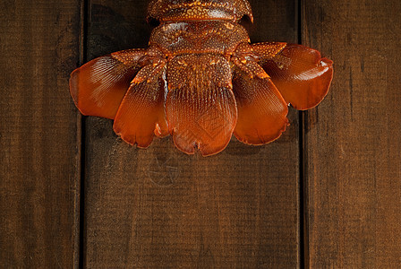桌上的龙虾尾鱼美食动物小龙虾美味尾巴贝类桌子食物海洋螃蟹图片