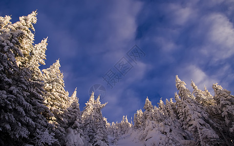 冬季山地景观阳光环境晴天季节天气天蓝色太阳森林蓝色天空图片