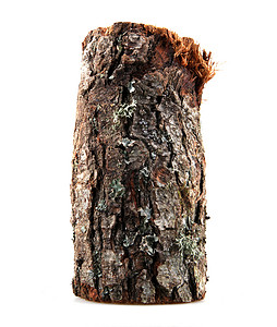 原木木纹白纸上隔绝的火柴木原木森林烧伤白色分裂木材树干日志材料木头活力背景