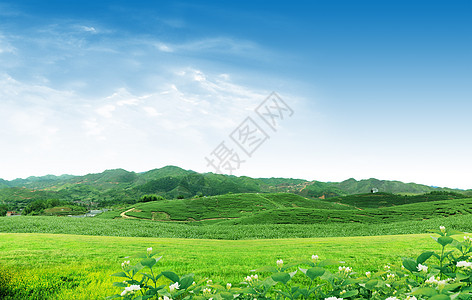 蓝色天空中的白云绿草地丝绸海岸天堂情调异国热带海岸线支撑植被海景图片