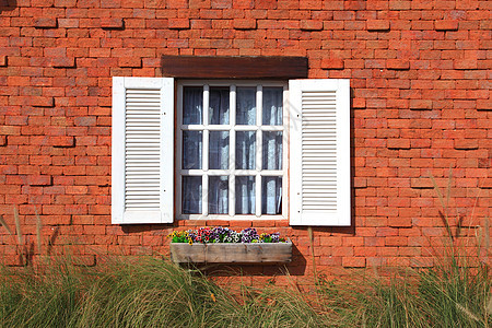 窗口和花框花园开窗盒植物房子建筑白色阳光外观绿色砖墙图片