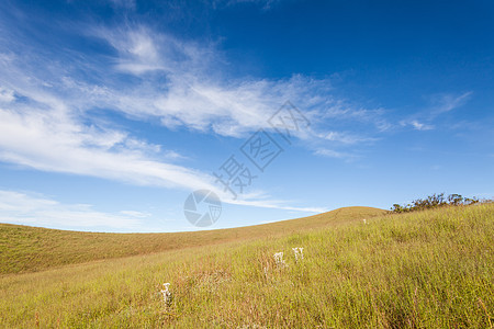 青云天空下的草地国家地面晴天场地生长环境公园植物群农村丘陵图片
