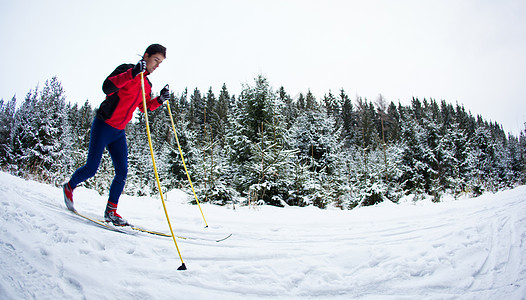 青年男子在雪地森林小径上滑雪滑冰踪迹季节活动闲暇锻炼冒险滑雪者场景运动图片
