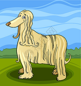 Afghan卡通猎犬狗犬类宠物绘画褐色尾巴吉祥物天空插图漫画黄色图片