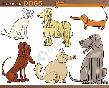狗形象纯种狗卡通漫画爪子剪贴宠物卡通片插图团体微笑二传手动物贵宾背景