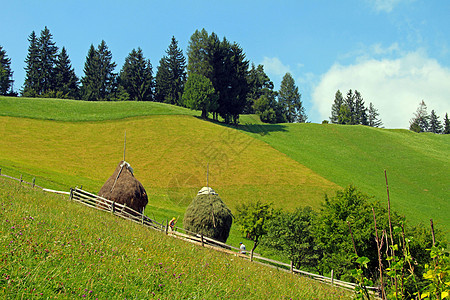 草地环境农村阳光季节牧场草原农场场景地平线土地图片