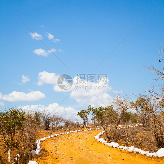 萨瓦纳公路小路蓝色环境旅游旅行地平线大草原荒野风景橙子图片