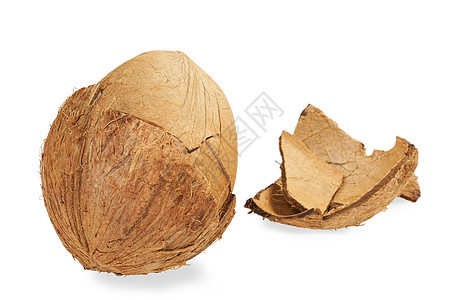 新鲜椰子和椰子壳可可水果饮食热带情调棕色白色棕榈坚果异国图片