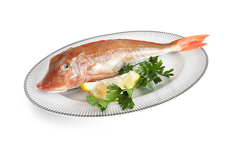 Gurnard浴缸     加里纳拉母马粉色餐厅水平白色工作室香菜鲂鱼红色生活营养图片