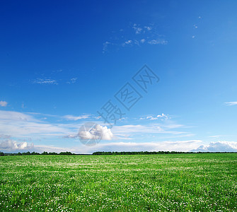 绿绿地天空太阳场地农村季节农场天气晴天蓝色牧场图片