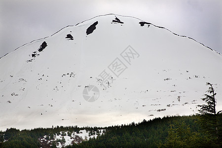 雪山纲要 绿树 阿拉斯加图片