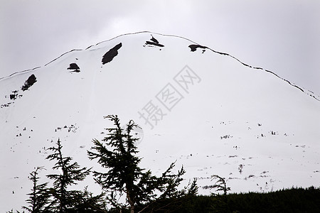 白雪山平原树木 苏厄德(Seward)高速公路停靠阿拉斯加图片