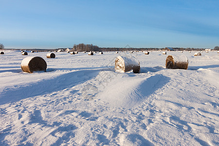 田地上积雪中沉积的干草天空远景谷物季节收成蓝色全景地形场地暴风雪图片
